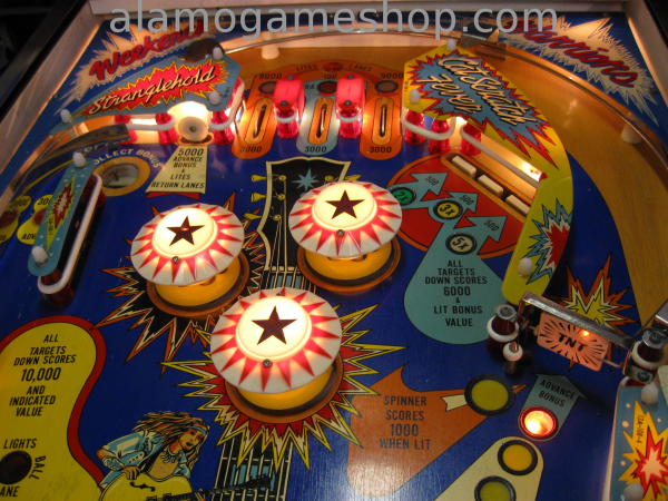 (image for) Ted Nugent Pinball by Stern 1978