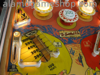 (image for) Wild Wild West pinball by Gottlieb - 196