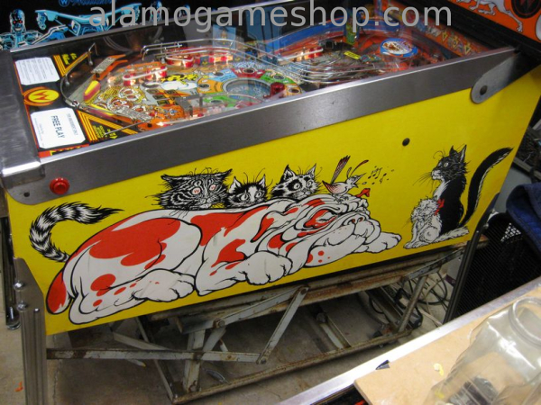 (image for) Bad Cats pinball by Williams 1989