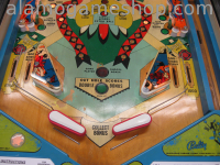 (image for) Bow and Arrow pinball by Bally 1974