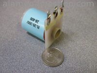 (image for) Flipper Coils